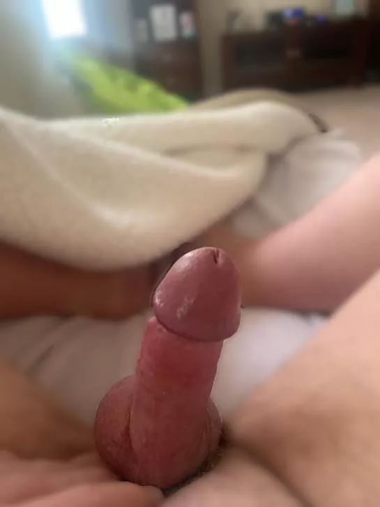 (43) what do you think posted by ramrod1224