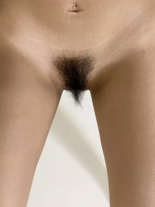 43F Normal bush. by Tight-World713