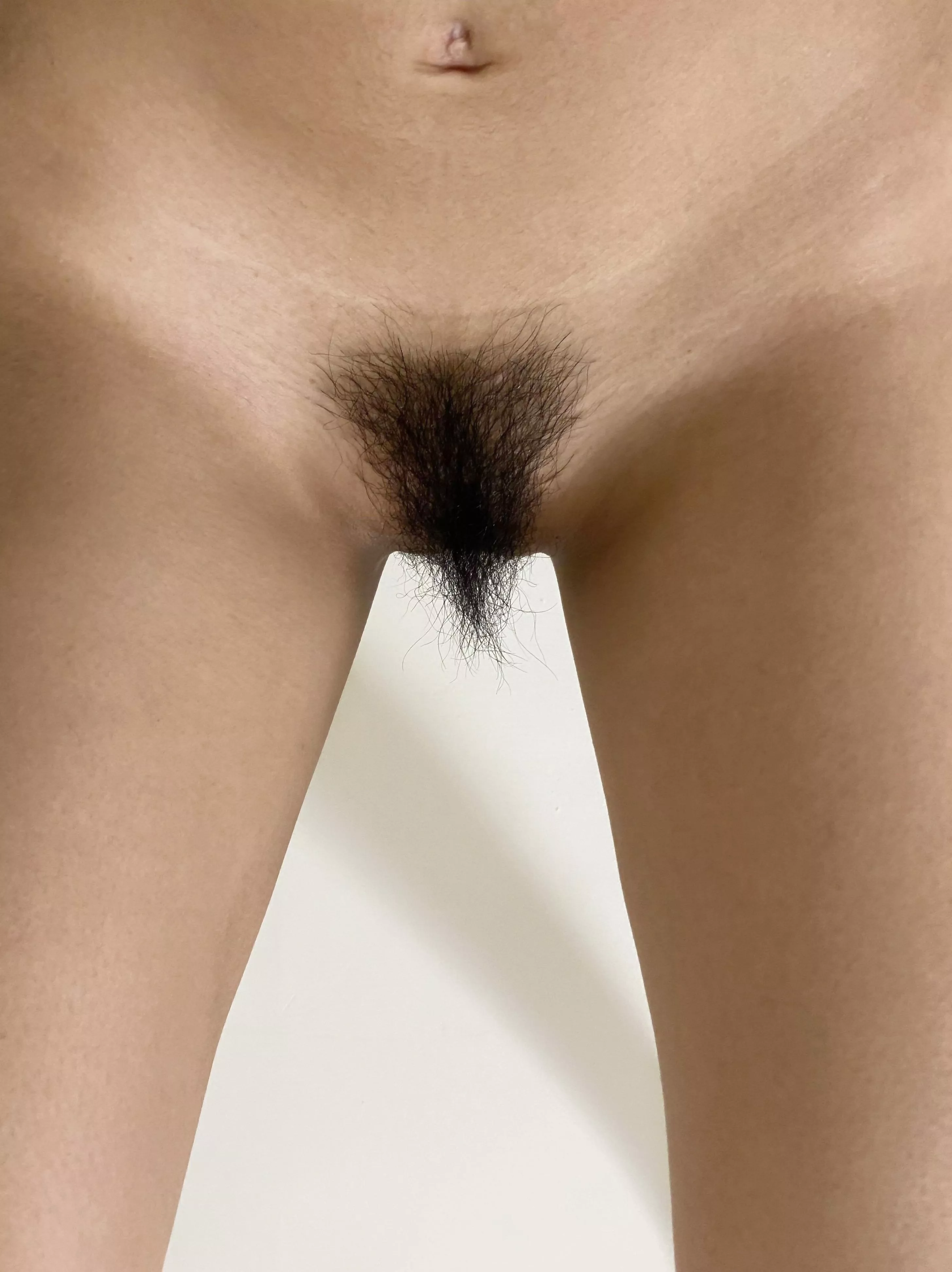 43F Normal bush. posted by Tight-World713