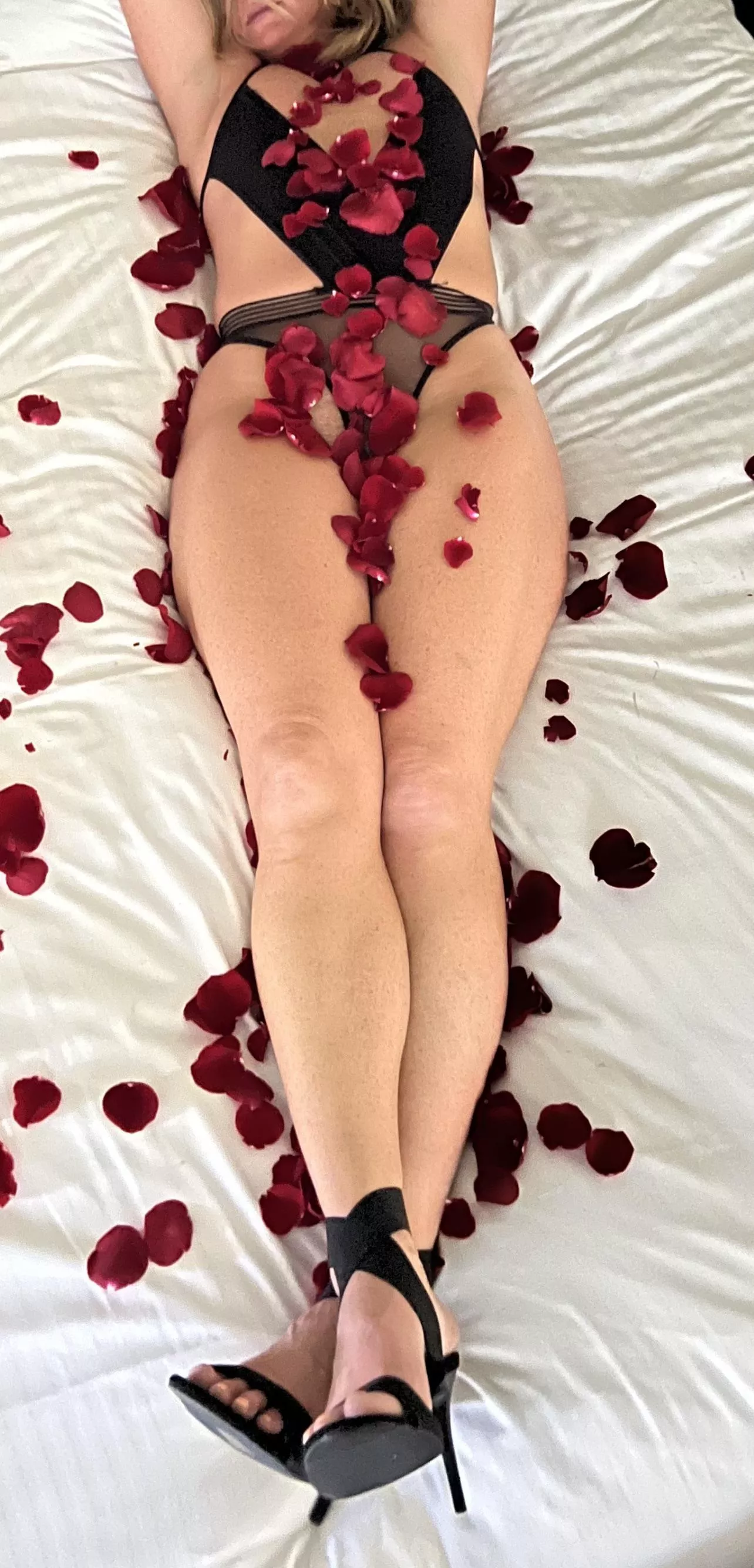 (44) Don’t understand rose petals (f) posted by Norcal_vibes