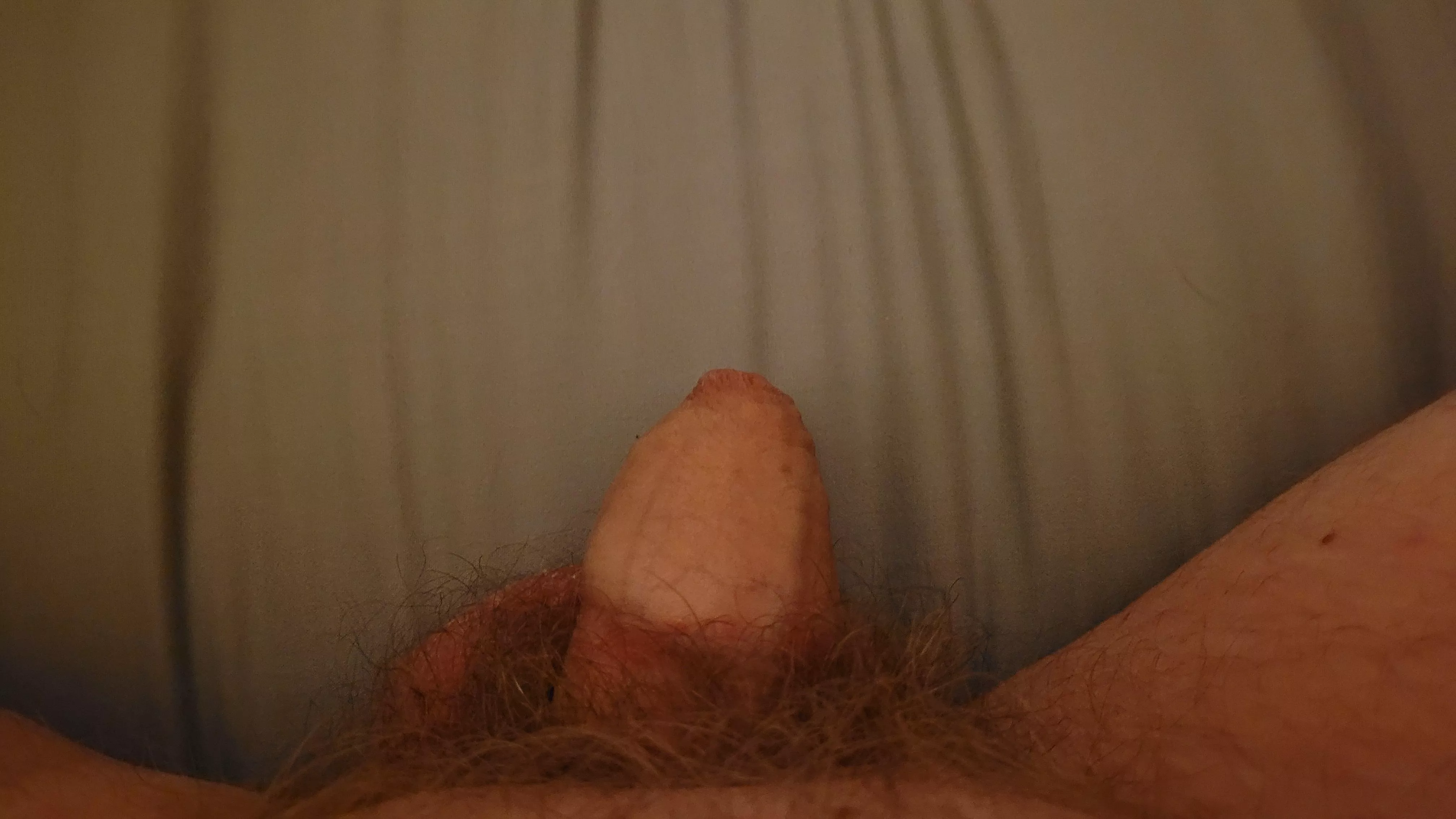 [45] Do you think I need a trim? 🤔 posted by jxwales