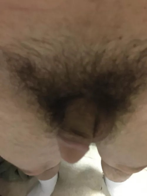 [45]. Ready to chat dms open by Head_Ambassador_9871