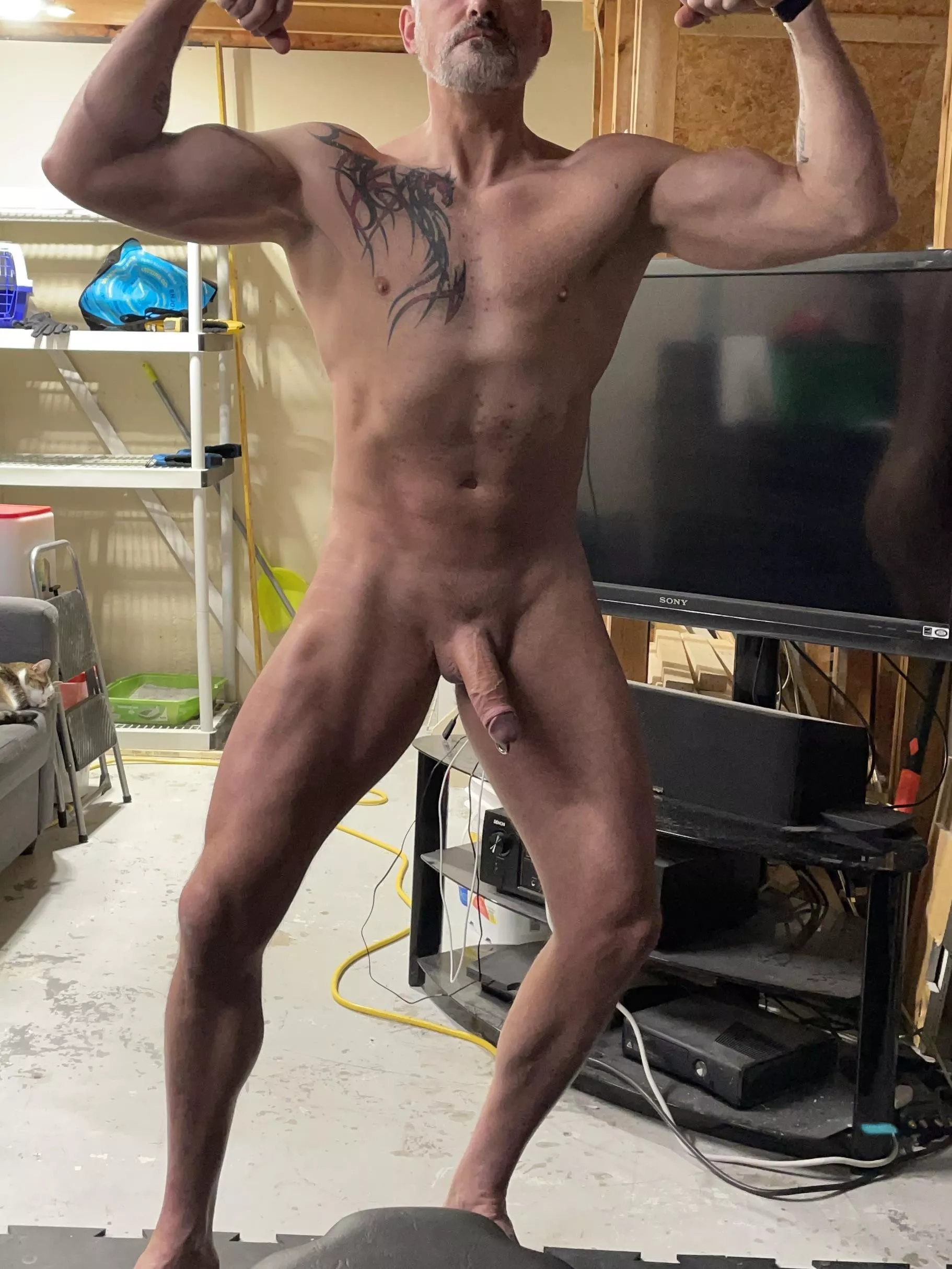 [46] grey beard, pierced and muscular posted by PiercedBull