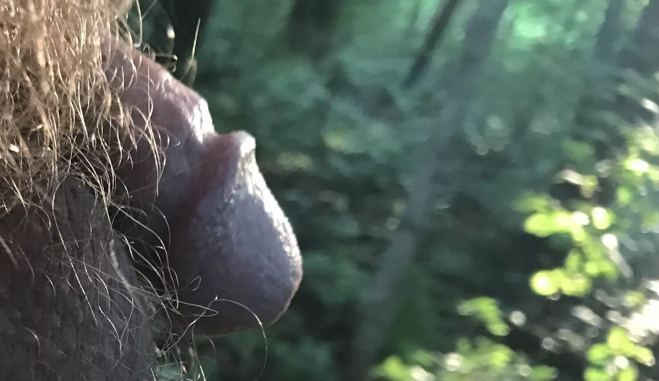 [46] posted by Panzov2day