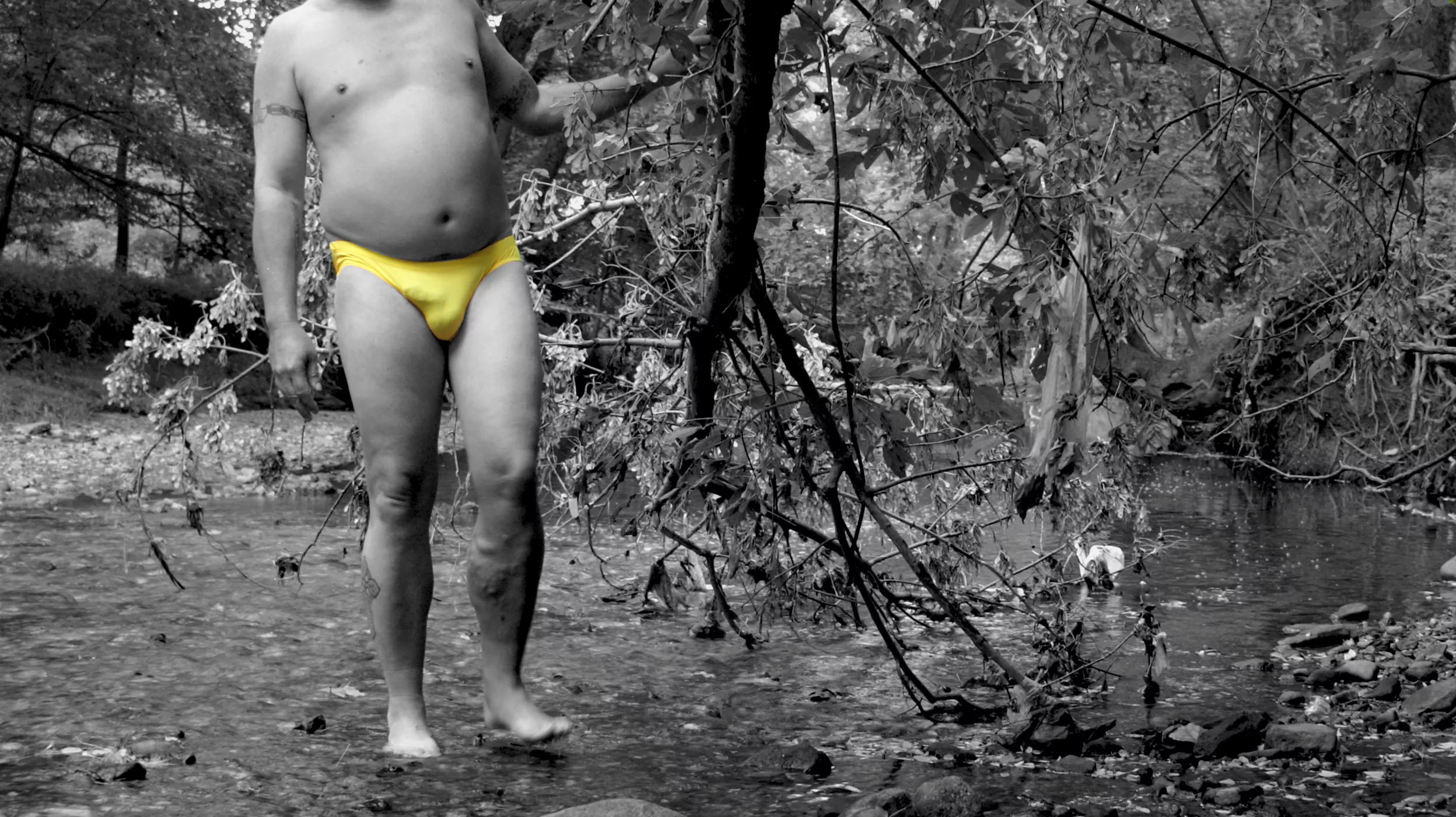 (47) A nice day in the creek. posted by windabird