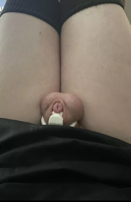 5 days locked so far and my clitty is beyond swollen🥺 by OoccasionallyHeather