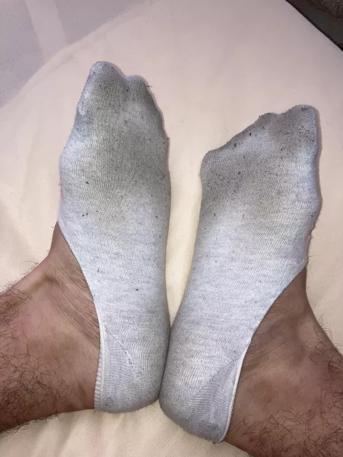 5 days worn, gray peds. They do smell tho. (if someone want, we can exchange socked feet photos) by Individual_Client_82