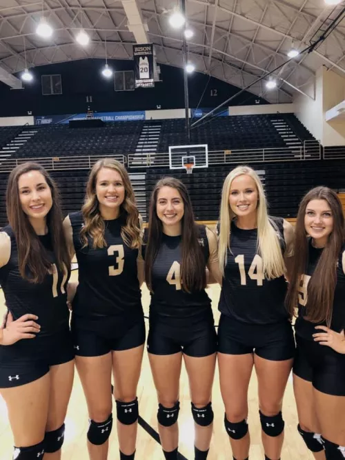 [5] Lady Bison by hybridchicken2000