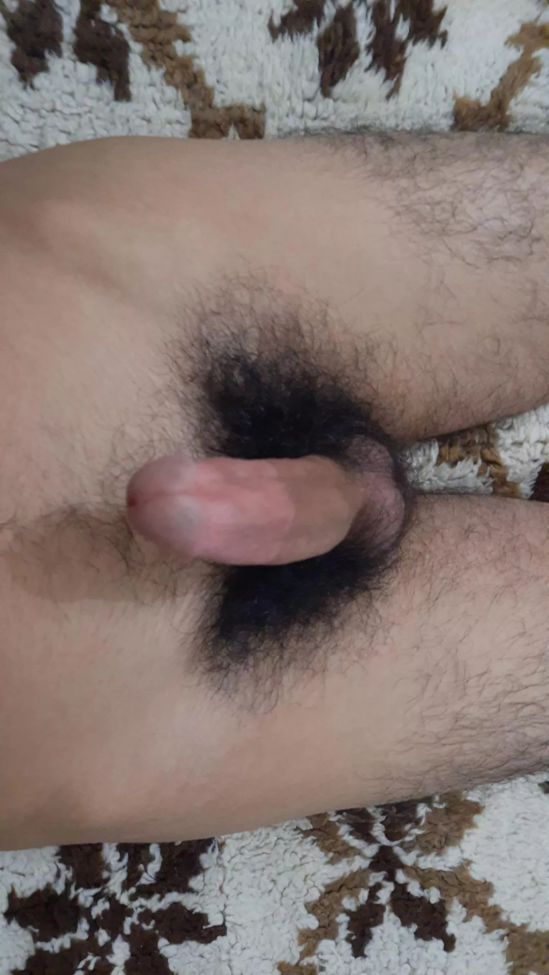 5 months of no shaving posted by Outrageous_Tennis306