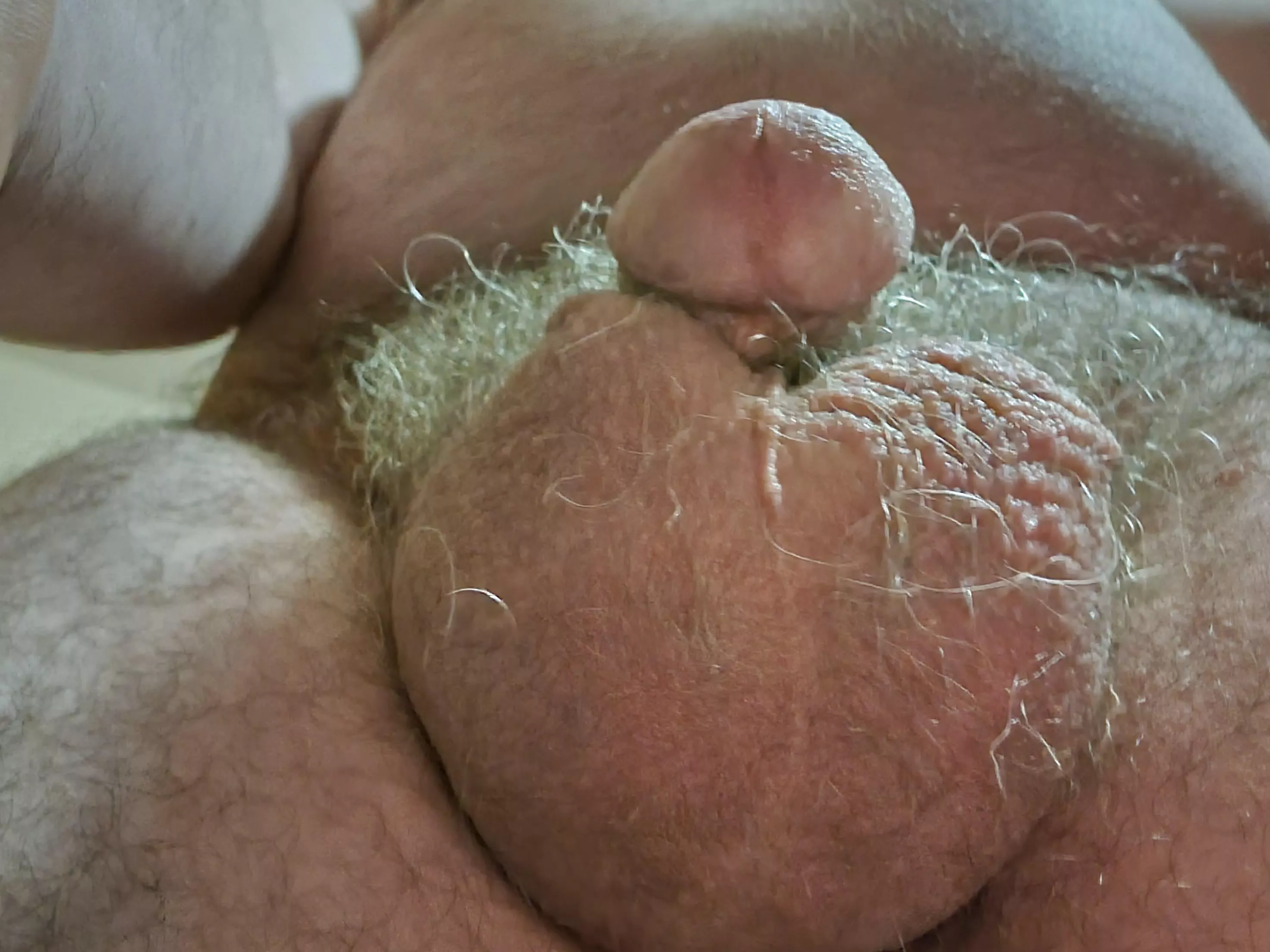 [50] A view from below posted by toptongue69