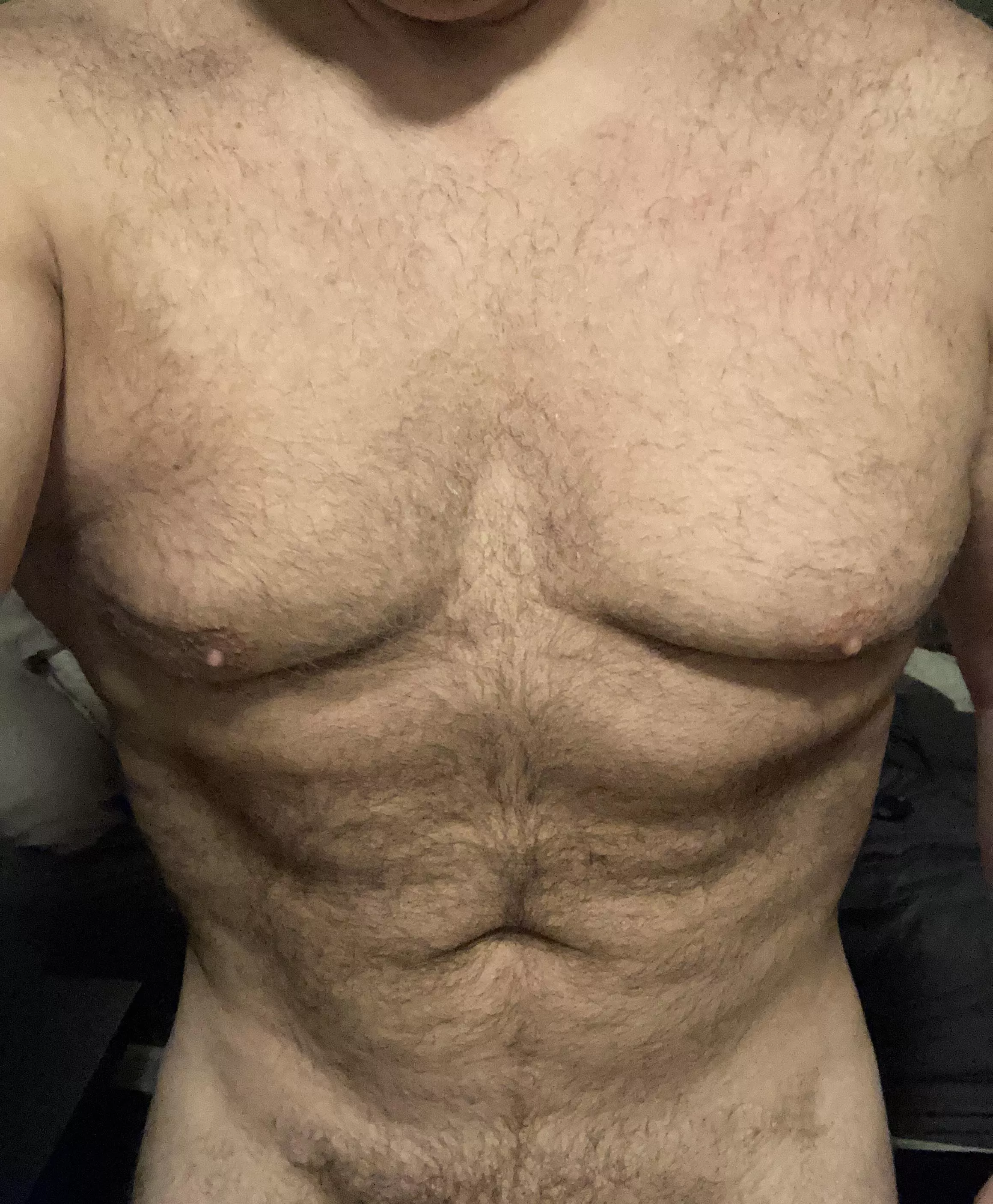 50, am I a mature bear? posted by sbw44534