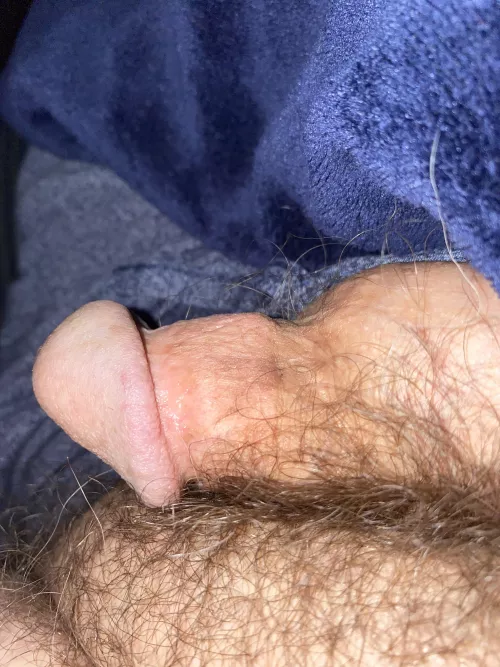 (51) just needing some love by classifier1