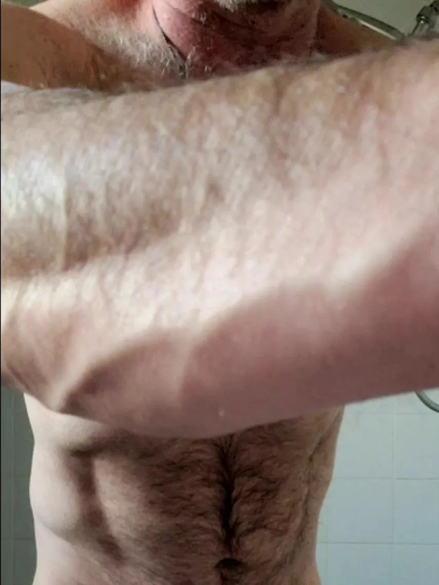 (51) Who likes a hairy tummy posted by splurgebrother