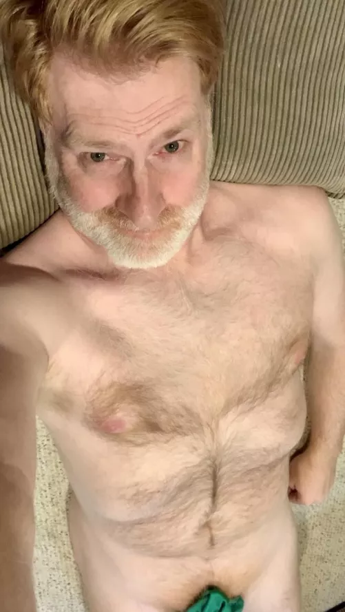 [53] Here’s a tiny splash of green to go with a whole lot of ginger. by ZelaznyFan68