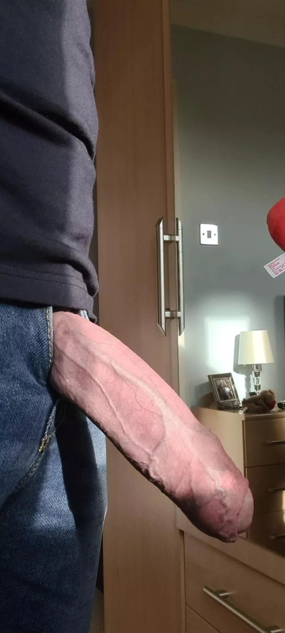 (56) Just hanging out! 😜 posted by jackwills004