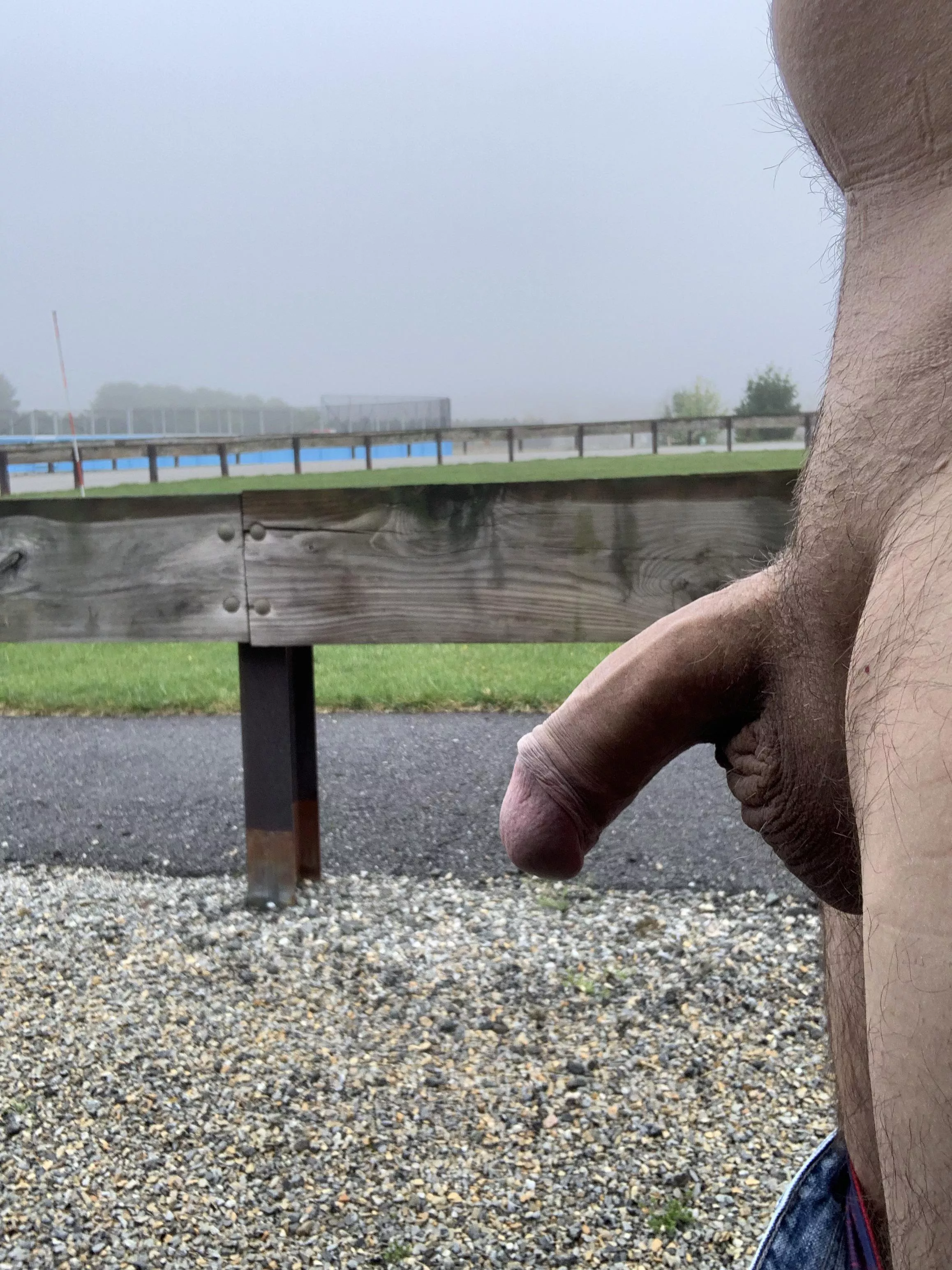 (56) stroll in the park this morning posted by nudework