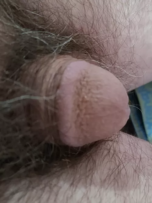 [58] loves the attention by poppajcg