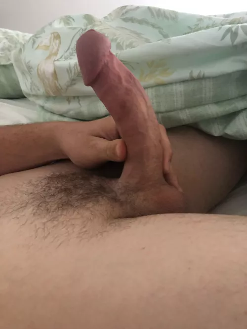 6 incher, are we rockin with the curve? by Substantial_Bed_878