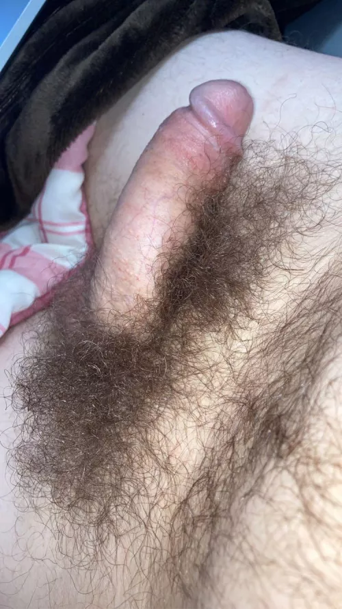 6 months no shave or trim by Stephano35