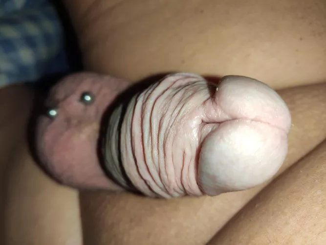 [60] Folded skin.... by Monlongprepuce