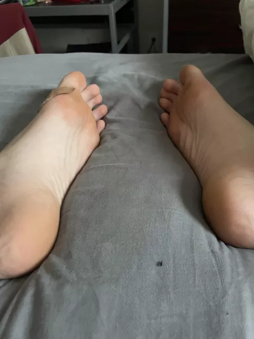 6’3 8” hs football player Hmu if ur a freaky disgusting pig with no limits I want the freakiest most brainless slaves. Hmu if u are disgusting and will do whatever ur god wants by jhands28