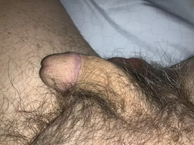 [64] Good night..been a long day. by JustEnoughForMe