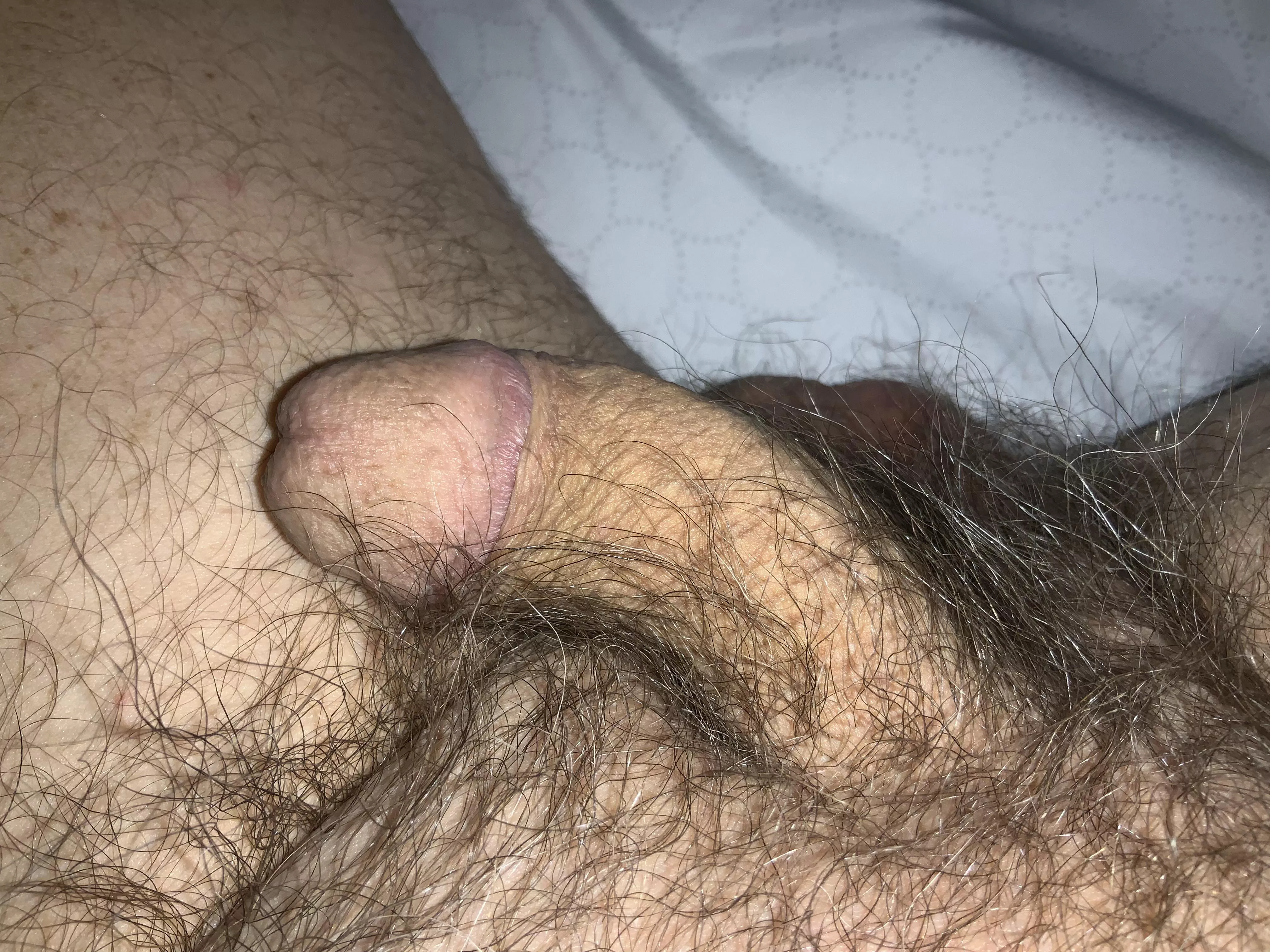 [64] Good night..been a long day. posted by JustEnoughForMe