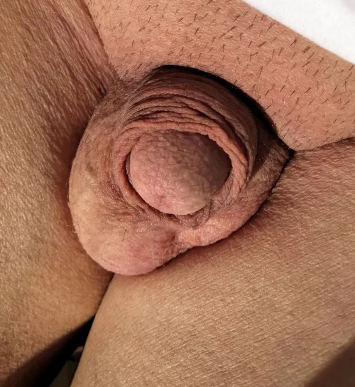 (66) Early morning sunshine ! by riggers15