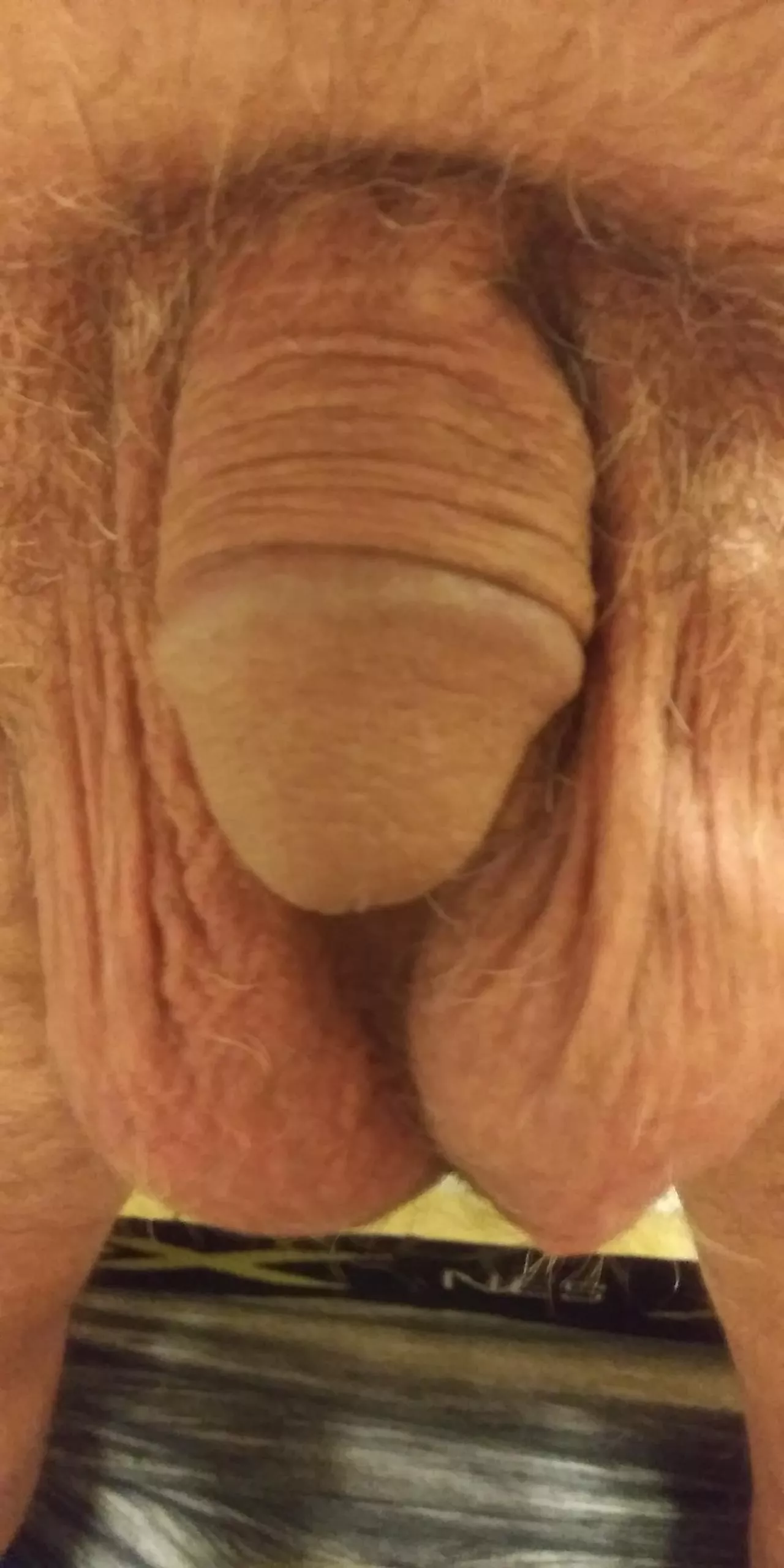 (66) Hanging low like trading pics. posted by bbqsteve11