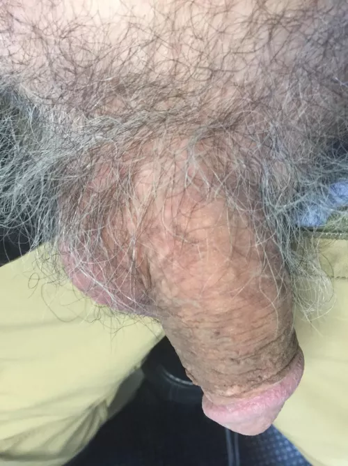 66 horny for hairy cocks; love gray pubes! Snap me at mikekrakow2; straight but like to jack hairy cocks by mikelynn2020