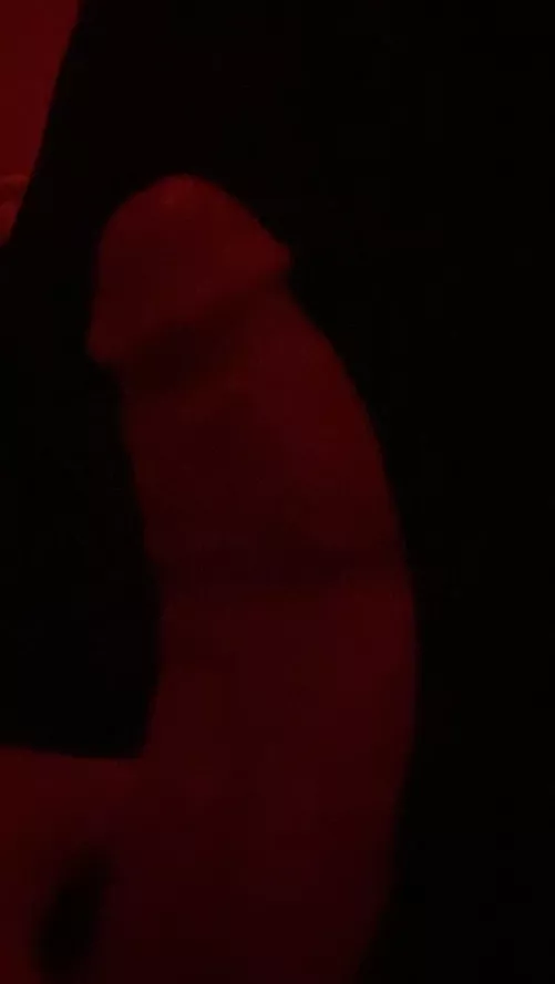 6inch by Adventurous-Loquat-9