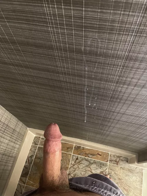 7 day load.. I couldn’t hold it in much longer 😅😩 by cadencarmichael