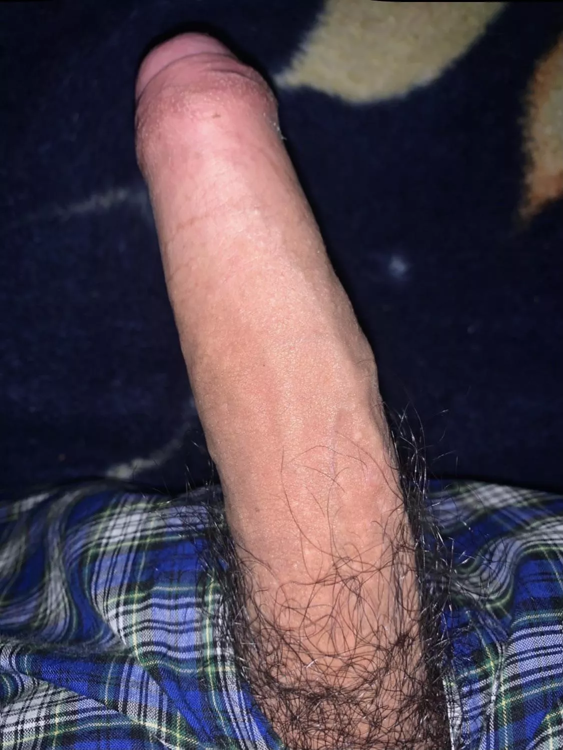 8 inch BWC . Bull husband . posted by MilkyMommyMelons