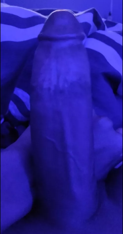 8 inches and thick who wants me? by gr00llover