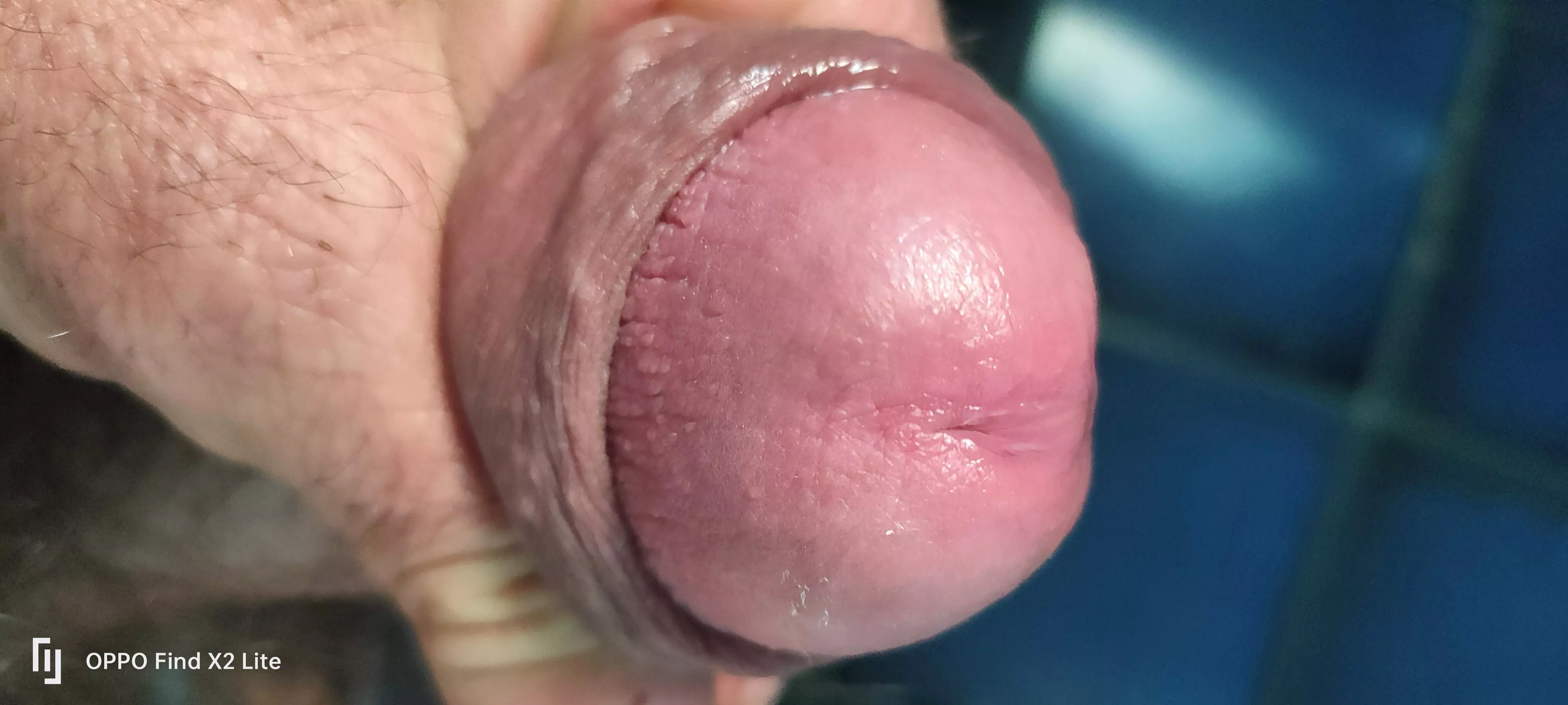 a bit of precum posted by Octops03