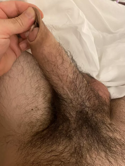 A bit shaggy by SurfSoCal88