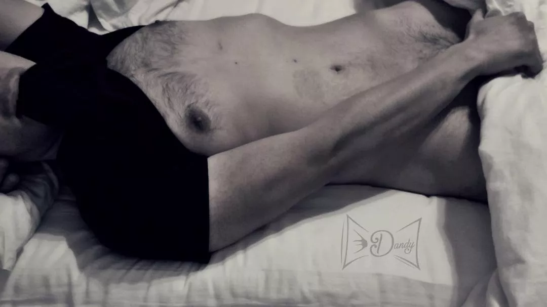 A Bite Gray Out There Today, We Should Probably Just Stay In Bed All Day... posted by FineAndDandyDaddy