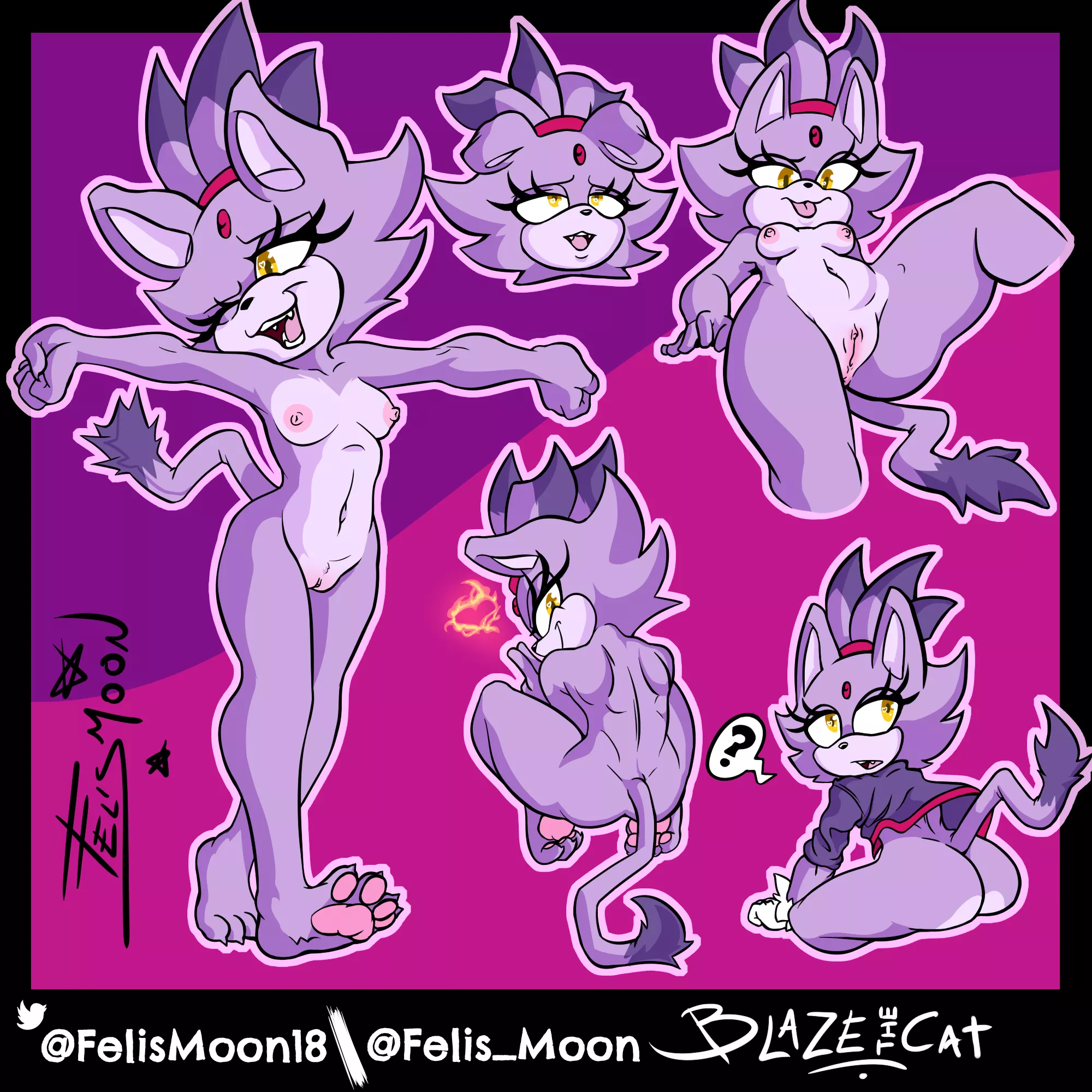 a bunch of Blazr the Cat (me) posted by FelisMoon