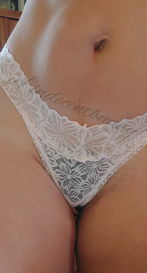 A Button & A Bush by indecentbunny