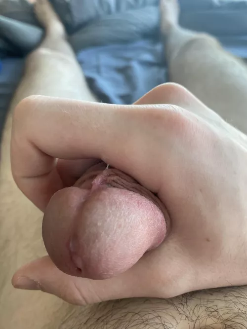 A lil sticky by FreddieAlfredo