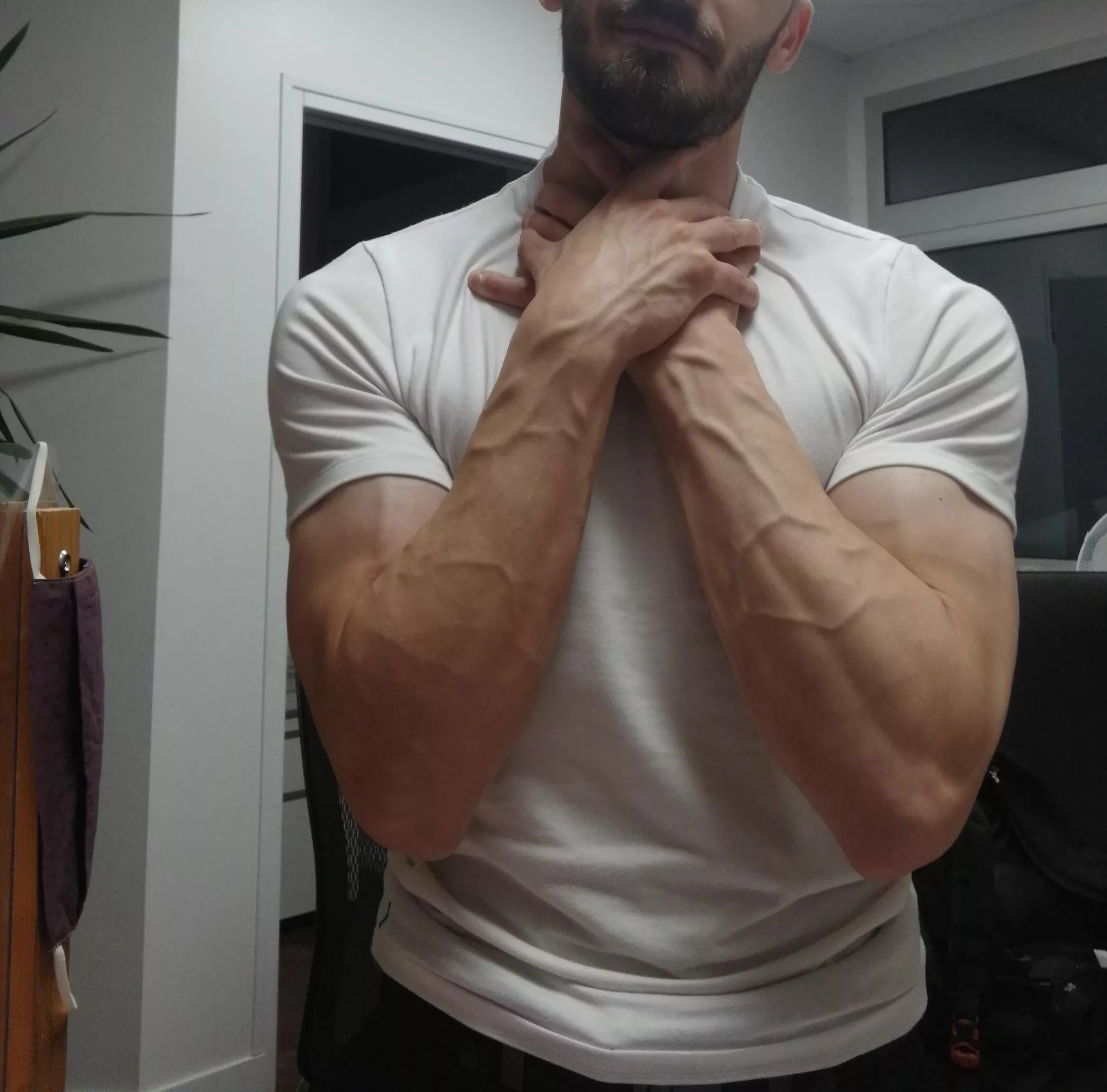 A little gift for you posted by Soft_Dan