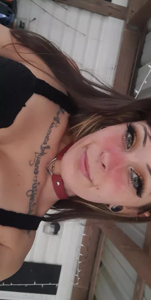 A little leather collar for ya ;3 by BeezyGee423