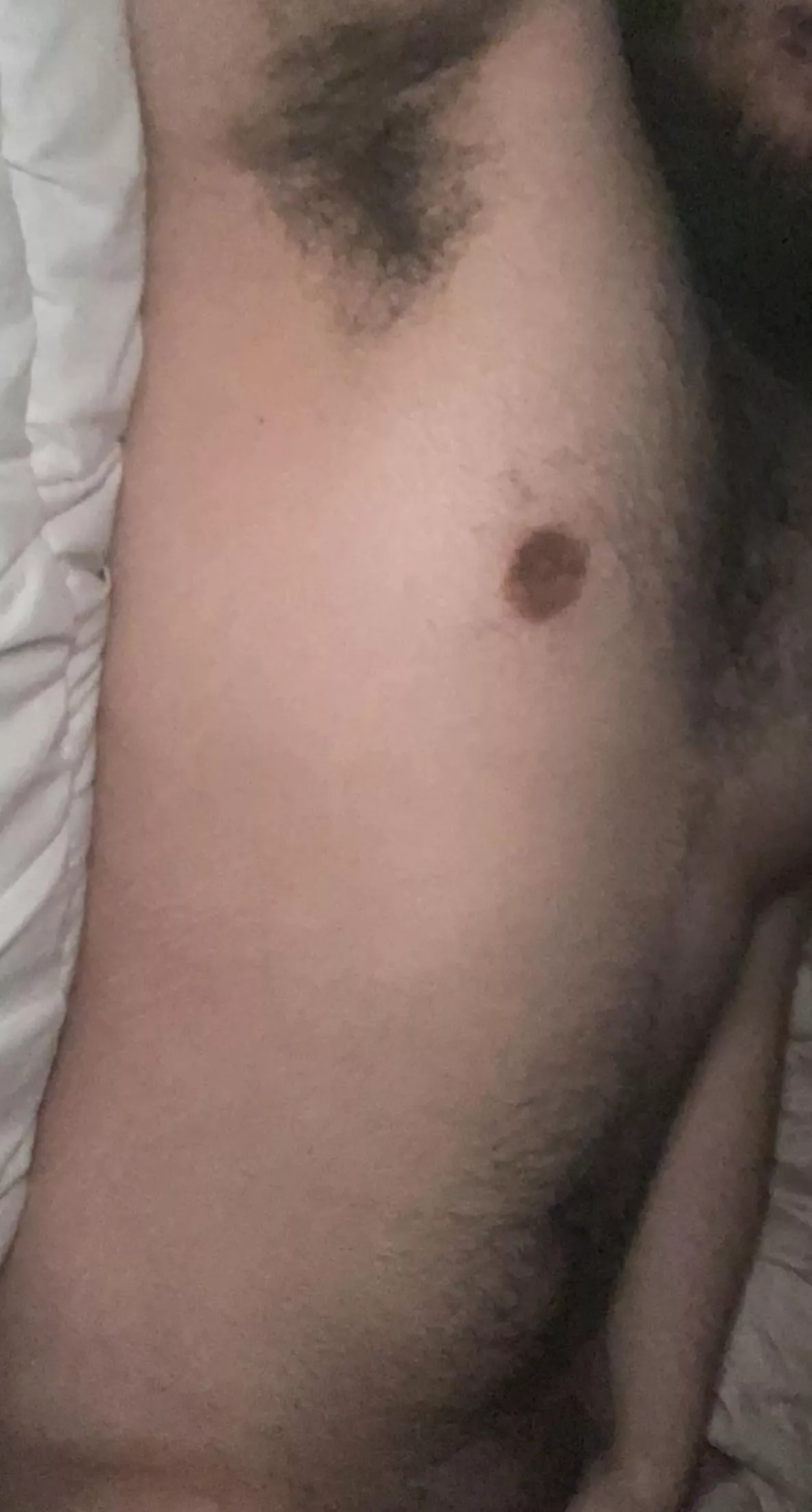 A little more lewd than usual. posted by Hedgehog_Willing