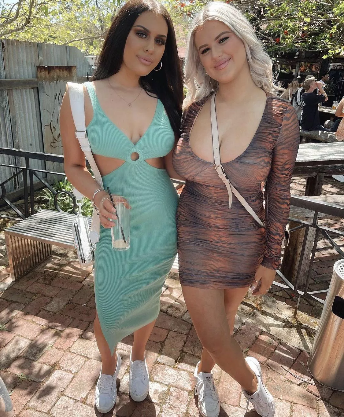 A lot to be envious of posted by tollar3