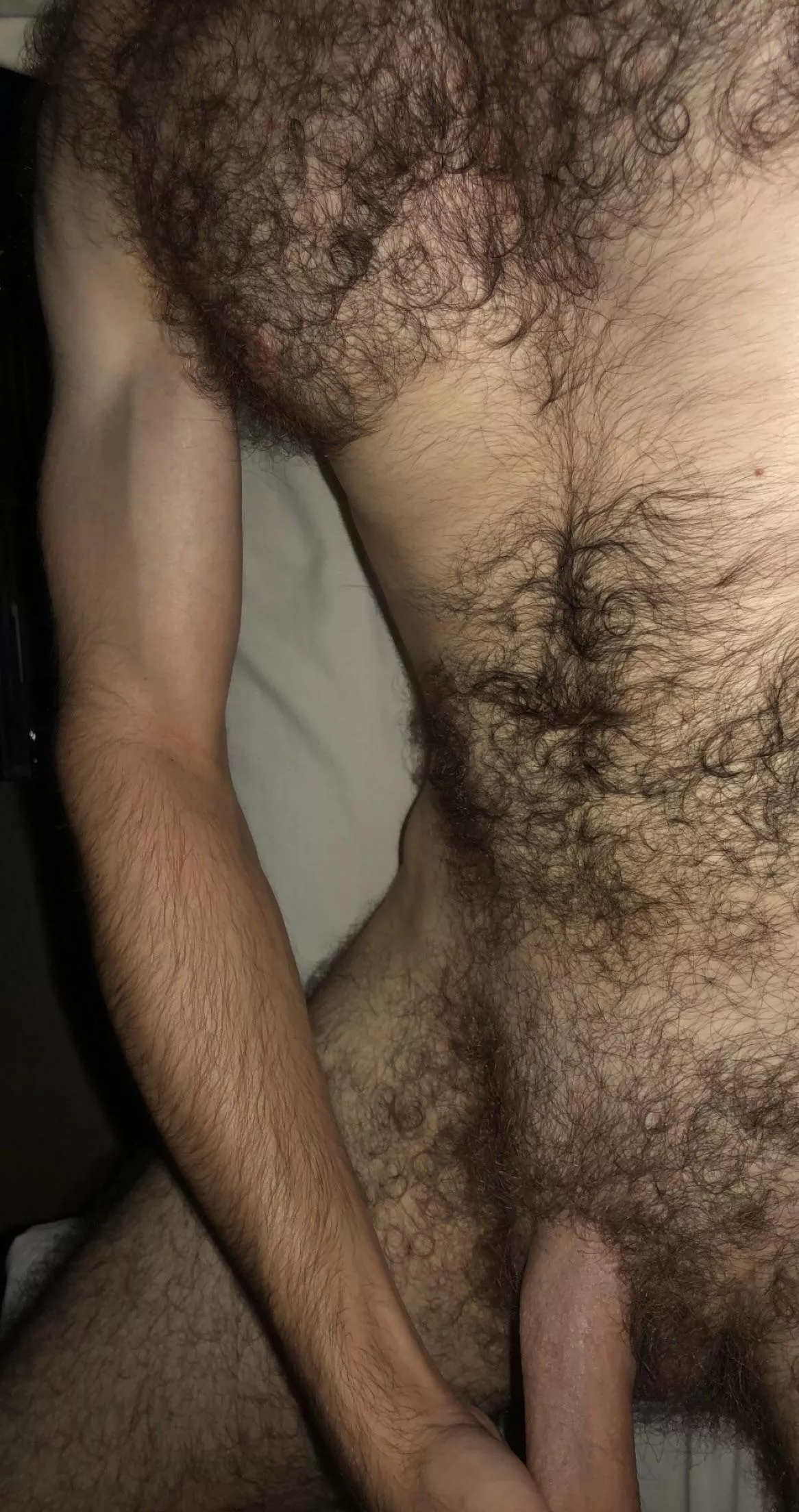 A ltitle bit of everything posted by padimpeccable