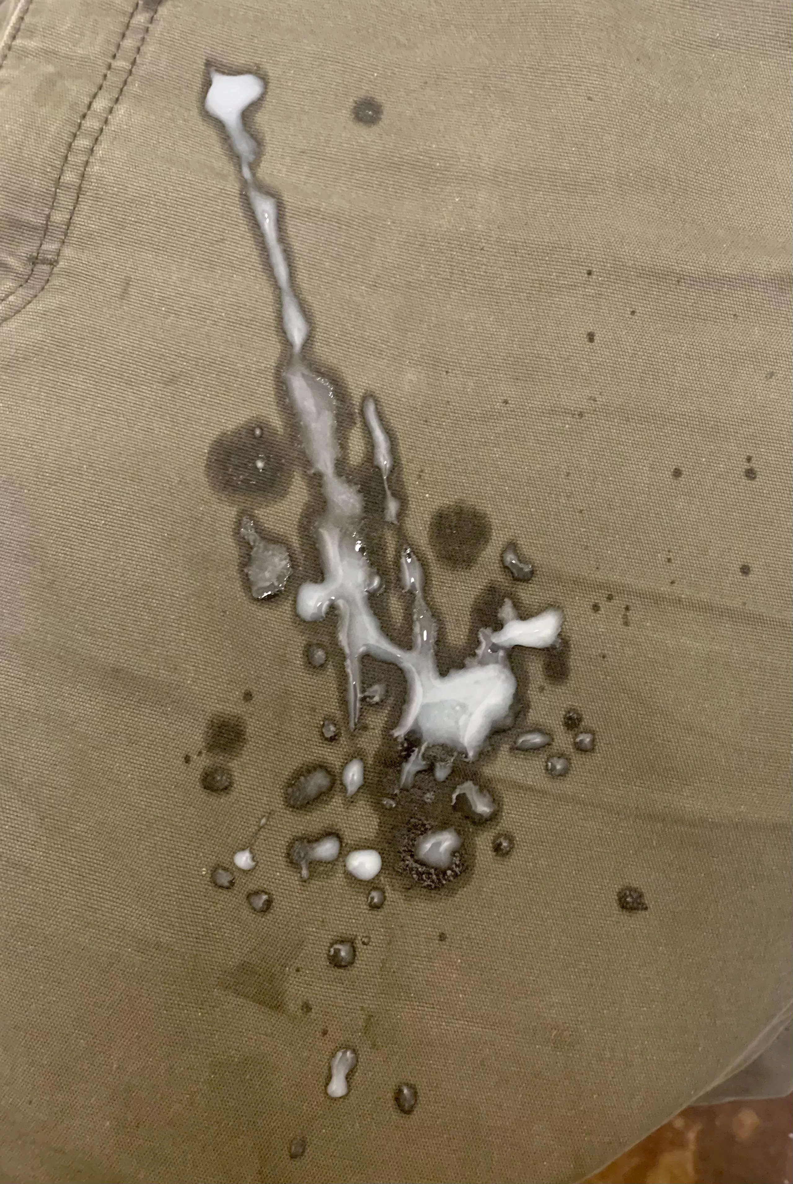 A nice load? posted by amse121790