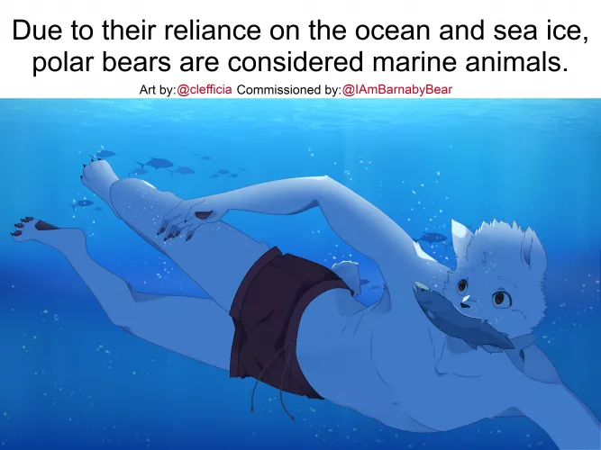 A Polar Bear Fun Fact! Art by @clefficia for me by IAmBarnabyBear