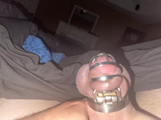 A reminder that she is control of your cock by naughtymacpl