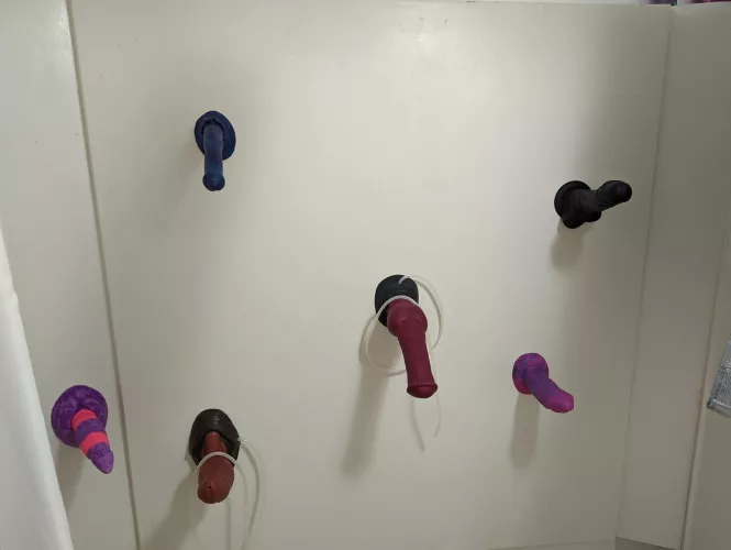 A sample of my collection. I need more toys with suction cups, lol by Phoenyx_Fall