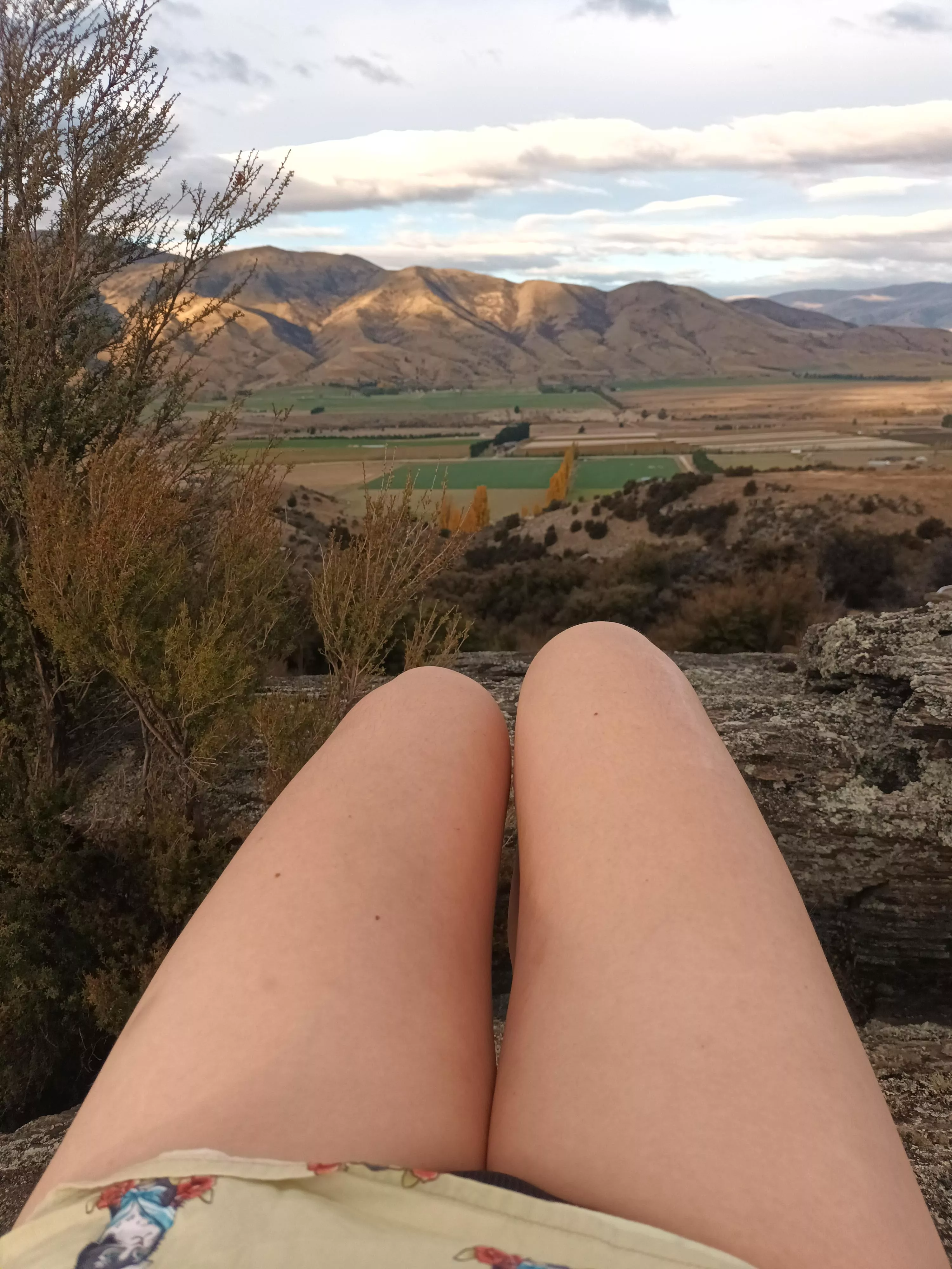 A seat with a view! (f) posted by mmpopsicle